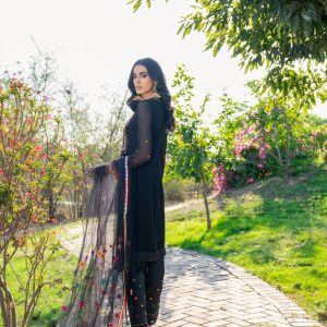 CTN-072 - Image 4